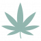 533700_cannabis_drugs_hemp_marihuana_marijuana_icon